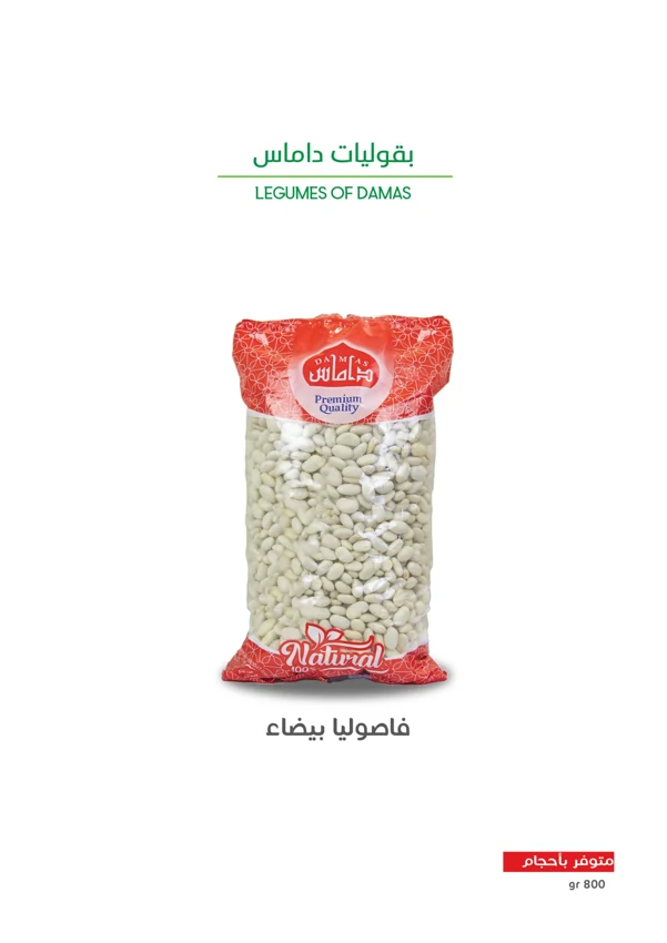 فاصوليا بيضاء