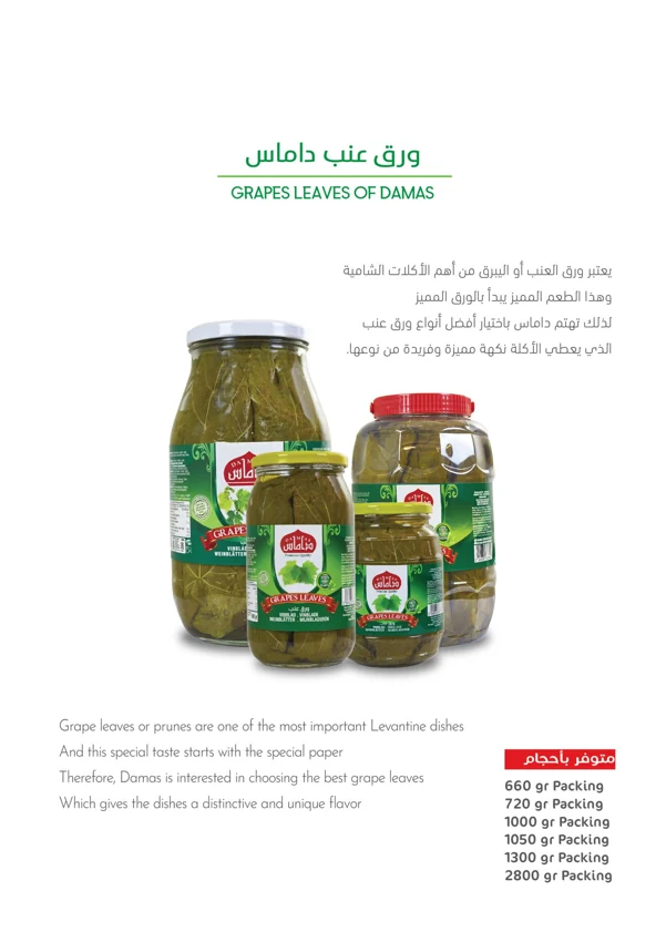 Weinblätter — Damas Food