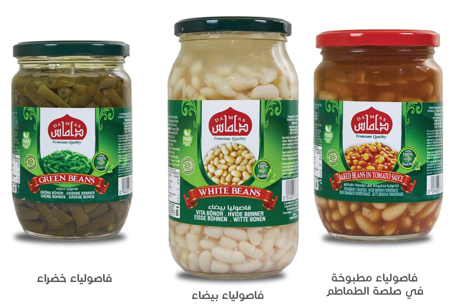 White beans in jars — Damas Food
